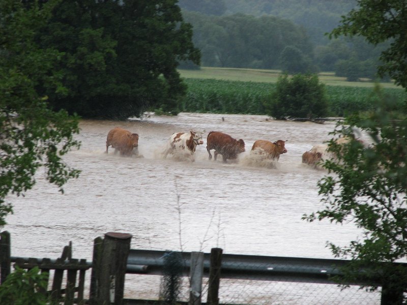 80 Millimeter Niederschlag lösten Flutwelle aus
