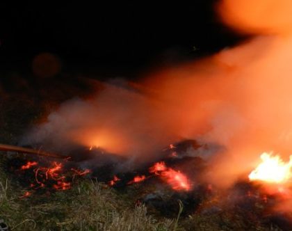 Gegen Waldbrandgefahr ist die zweithöchste Alarmstufe ausgerufen. Symbolbild: nh