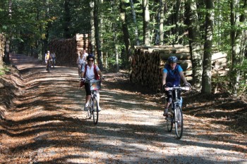 Zu ihrer letzten Radtour in diesem Jahr lädt der Allgemeine Deutsche Fahrrad-Club (ADFC) Schwalmstadt ein. Die Fahrt führt am 7. Oktober unterhalb des Teufelsbergs zum Erntedankfest nach Richerode und zurück. Foto: nh