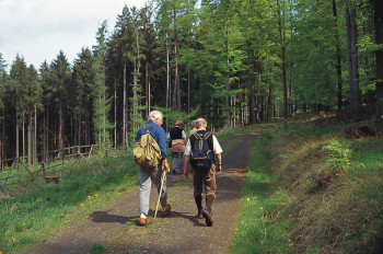 Geführte Wanderung rund um Melsungen. Foto: nh Geführte Wanderung rund um Melsungen. Foto: nh