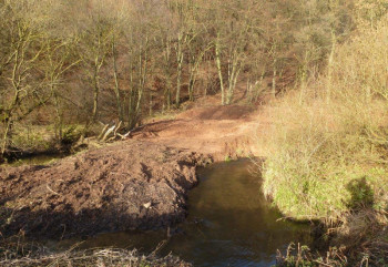 Das Feuchtbiotop für die geschützte Gelbbauchunke und andere Froscharten im Kirchhöfer Grund. Foto: Martin Gille