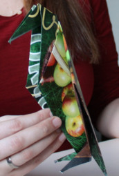 Hanna Widmer faltet eine Raben aus Apfelpapier. Foto: nh origami-gudensberg140207c