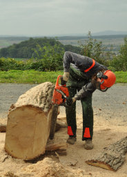 Kunststudenten aus dem Erzgebirge schaffen kreative Sitzgelegenheiten. Foto: nh kettensaegen-gudensberg140924