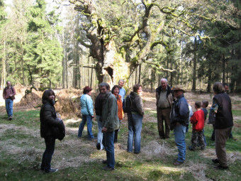 Gemeinsam mit dem BUND Schwalm-Eder-Süd kann man den Tierpark Sababurg erkunden. Foto: nh