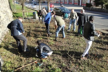 Bei der Arbeit im Rosenbeet. Foto: Gert Wenderoth