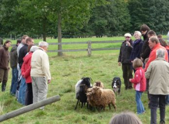 Foto: Tierpark Sababurg/nh