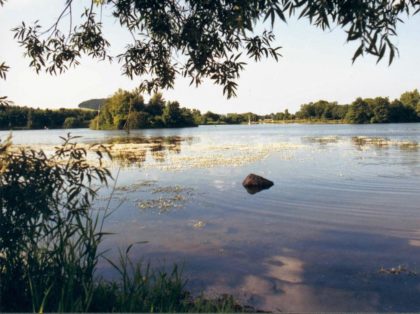 Der Schwarzenbörner Teich. Foto: nh