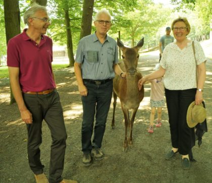 Andreas Gründel (Kreisbeigeordneter, Grüne), Jörg Warlich, Direktkandidat (Kreistagsabgeordneter, Grüne),Rothirschkuh Agathe (Wildpark Knüll) und Dorothea Pampuch (Kreistagsabgeordnete, Grüne) (v.l.) freuen sich über das Jubiläum "50 Jahre Naturzentrum Wildpark Knüll". Foto: Grüne/Warlich      