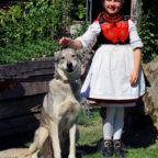 Rotkäppchen und der Wolf können den Besuchern der Rotkäppchenwoche live begegnen. Foto: nh