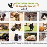 Den Foto-Kalender 2019 ist da. Für unter zehn Euro bekommt man ein hübsches Weihnachtsgeschenk und unterstützt das Tierheim Beuern. Foto: nh