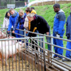 Beim Frankreich-Austausch der Hermann-Schuchard-Schule, ein Standort der Hephata-Förderschule, gewannen die Jugendlichen auch Einblicke in die landwirtschaftliche Praxis. Foto: Hephata