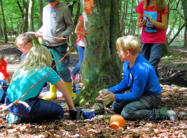 Rasch anmelden: »Wild & Wald« ist das Motto der Sommerferien im Wildpark Knüll. Foto: Wildpark Knüll