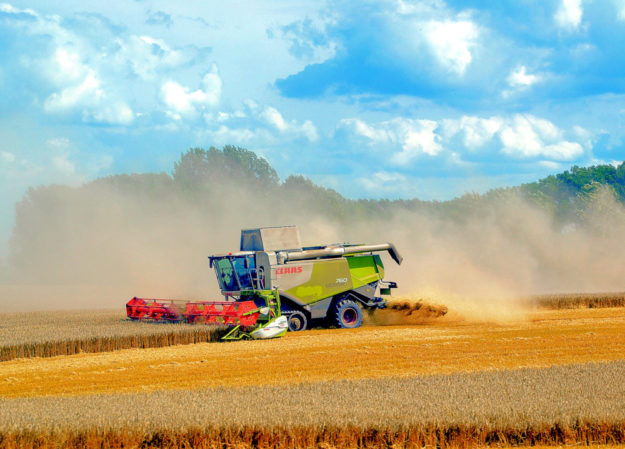 Wetterbedingt rechnet der Deutsche Bauernverband für 2019 mit spürbaren Ernteeinbußen. 
Foto: Anemone123 | Pixabay