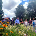 Vor allem durch die Pflanzung alter Arten sollen Flora und Fauna, insbesondere die Welt der Insekten, deutlich belebt werden. Foto: nh