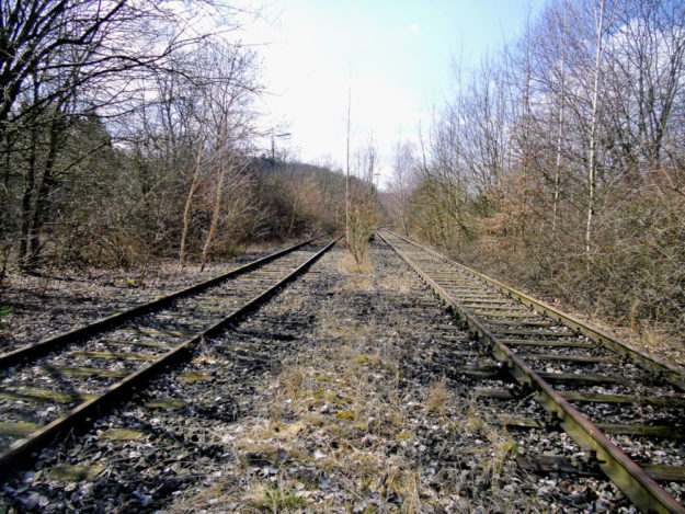 Eine Bürgerinitiative fordert aktuell die Wiederinbetriebnahme der Bahnstrecke Homberg – Treysa. Foto: Sprecherteam der Initiative Homberger Bürger