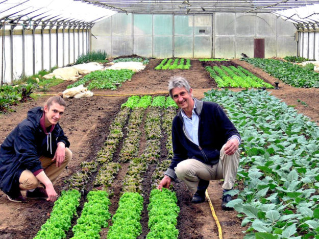 Heimisches Gemüse und Salate in Bio-Qualität liefert der Mühlhausener Biohof Groß frisch auf die Wochenmärkte. Dafür stehen Malte und Dietmar Groß (v.li.) mit ihrem guten Namen. Foto: nh