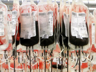 Blutkonserven werden vor allem in der Ferienzeit Mangelware. Foto: Sabin Urcelay | Pixabay