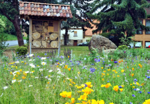 Insektenhotels und Bienenwiesen wären das richtige Markenzeichen für ein „Niedenstein, Stadt im Grünen“. Foto: nh