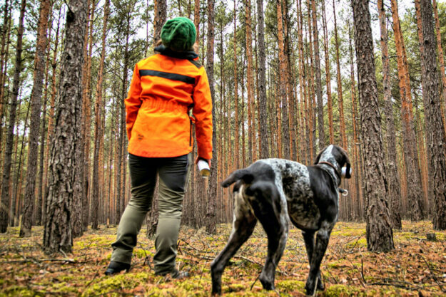 Dürre, Hitze und Stürme setzen dem Wald zu. Die IG BAU fordert mehr Forstpersonal, um den klimagerechten Umbau heimischer Wälder voranzubringen. Foto: IG BAU