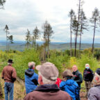 Auf Waldbegang attestierten die Jesberger Bündnisgrünen dem Hohen Kellerwald einen dramatischen Forstzustand. Foto: nh