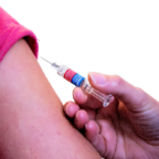 Erneut gibt der Schwalm-Eder-Kreis für eine Sonderimpfaktion den Startschuss zum Windhundrennen. Foto: Katja Fuhlert | Pixabay