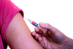 Erneut gibt der Schwalm-Eder-Kreis für eine Sonderimpfaktion den Startschuss zum Windhundrennen. Foto: Katja Fuhlert | Pixabay