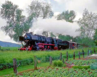 Quelle: Prof. Dr. Herbert Wassmann, BI Rettet die nordhessische Kanonenbahn e.V.