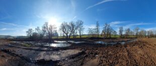 Panorama-Aufnahme der Ohe-Renaturierung bei Caßdorf. Foto: Uwe Dittmer