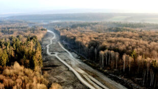 Als die A 49 durch den Dannenröder Forst noch eine Baustelle war, begann Maxi Buck mit der filmischen Dokumentation des umstrittenen Autobahnprojektes. Foto: Maxi Buck