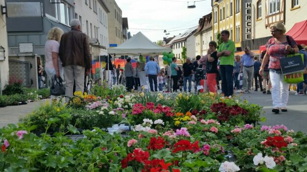 Am Sonntag, 4. Mai hält der Frühling Einzug in der Stadt. Für Jung und Alt gibt es Attraktionen und Aktionen. Foto: N.N. | pm, Stadt Schwalmstadt