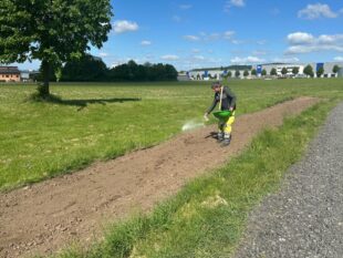 Auf den neuen Blühflächen wurden ein- und mehrjährige heimische Wildpflanzen ausgesät. Foto: N.N. | Stadt Gudensberg