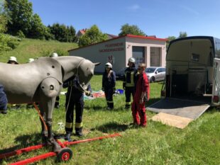 Der 200 kg-Dummy Pedro wird vom Anhänger geladen und auf die Unfall-Simulation vorbereitet. Foto: N.N. | Technische Großtierrettung, Aldenhoven