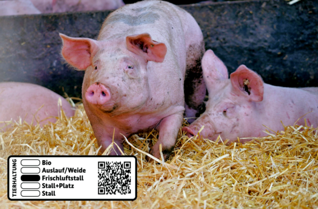 Kennzeichnungspflicht: Ab 1. August erfahren Verbraucher durch dieses Label, aus welcher Haltungsform das Schweinefleisch stammt. Foto: N.N. | HMLU/Label: BMLEH