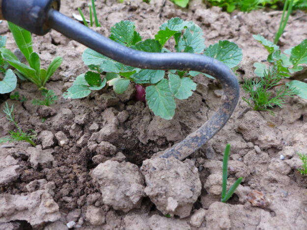 Um die Wasseraufnahme zu gewährleisten, ist die Lockerung des Bodens wichtig. Foto: N.N. | © LLH