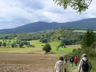 Für das Gebiet der Kripplöcher gilt ein Betretungsverbot wegen Einsturzgefahr. Mit Naturparkführerin Andrea Imhäuser darf sich die Wandergruppe jedaoch bis an das »Kuhloch« heranwagen. Foto: Anja Laun