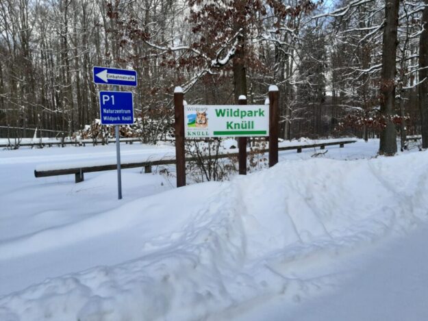 Am 24.12. und 25.12. bleibt der Wildpark Knüll geschlossen, während der hessischen Weihnachtsferien ist täglich geöffnet von 10.00 bis zur Dämmerung. Kassenschluss ist jeweils 1 Stunde vorher. Foto: N.N. | pm, Wildpark Knüll