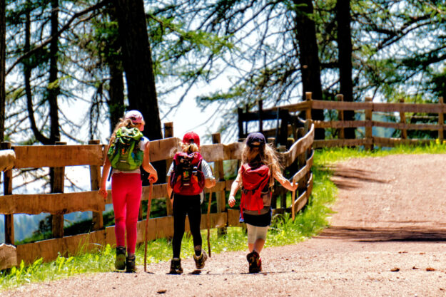 Das Wandern wird immer beliebter. Umso wichtiger ist ein gesunder Wald. Zum Tag des Waldes (21. März) ruft das RP die Bedeutung dieser Flora ins Bewusstsein. Foto: MaBraS | Pixabay