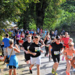 Der Spendenerlös aus dem 16. Sababurger Tierparklauf kommt der Amphibienwelt im Tierpark zugute. Foto: N.N. | Tierpark Sababurg