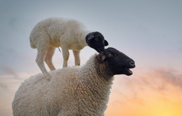»Mutter mit Kind« nennt der Fotograf diese Arbeit. Foto: Lutz Klapp