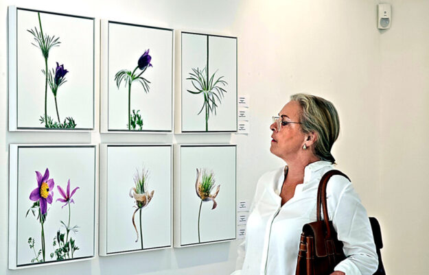 Eine Ausstellungsbesucherin betrachtet einige Arbeiten eines Frankfurter Künstlers. Foto: N.N. | Malerstübchen