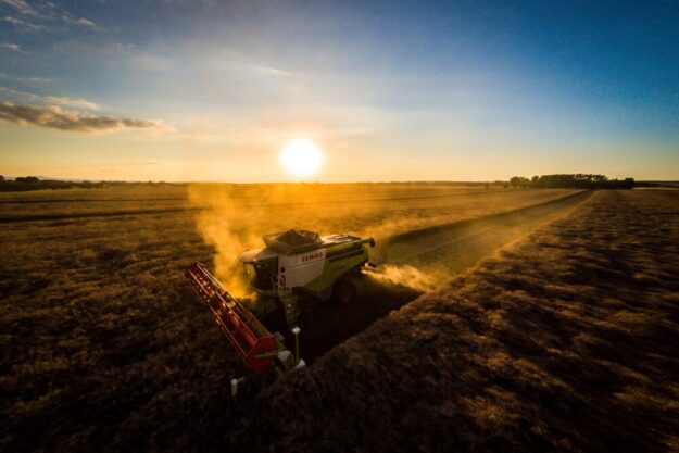 Ein Mähdrescher »CLAAS Lexion 770« auf einem Rapsfeld bei Ermstedt. Derzeit muss jede Trockenperiode zum Ernten ausgenutzt werden – wenn es sein muss, bis in die Nacht hinein. Foto: Steve Bauerschmidt | ADAC Hessen-Thüringen