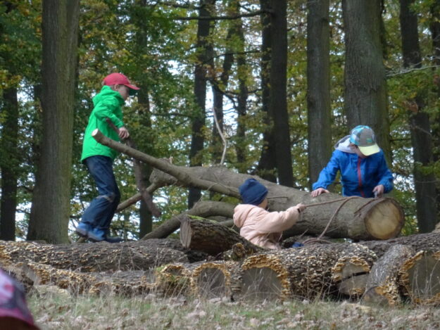 Im Wildpark-Club lernen Kinder und Jugendliche den Wildpark Knüll bei regelmäßigen Treffen kennen. Foto: Kirsten Mitlacher | Wildpark Knüll